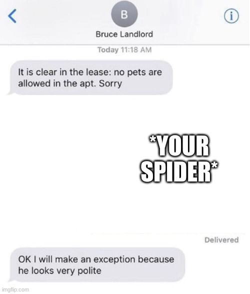 polite pet | *YOUR SPIDER* | image tagged in polite pet | made w/ Imgflip meme maker