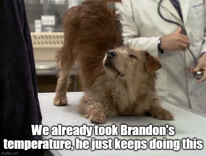 We already took Brandon's temperature, he just keeps doing this | made w/ Imgflip meme maker