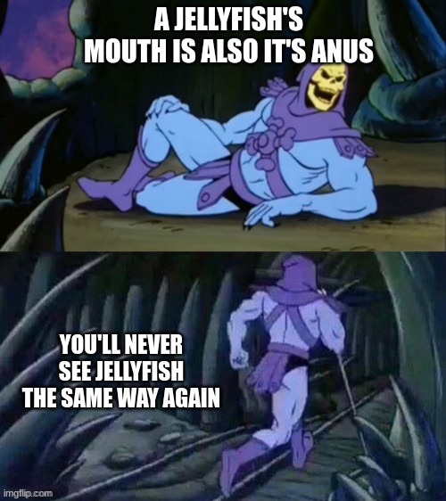 Skeletor disturbing facts | A JELLYFISH'S MOUTH IS ALSO IT'S ANUS; YOU'LL NEVER SEE JELLYFISH THE SAME WAY AGAIN | image tagged in skeletor disturbing facts,jellyfish | made w/ Imgflip meme maker