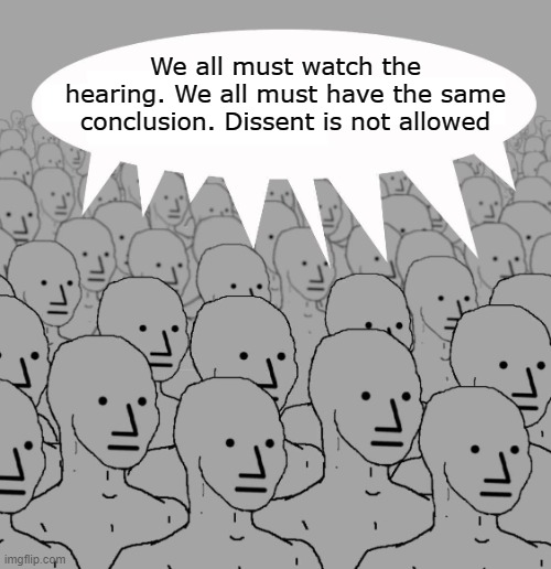 Dems watching the Jan 6th Sham Committee... |  We all must watch the hearing. We all must have the same conclusion. Dissent is not allowed | image tagged in npc,sham,kangaroo court,propaganda | made w/ Imgflip meme maker