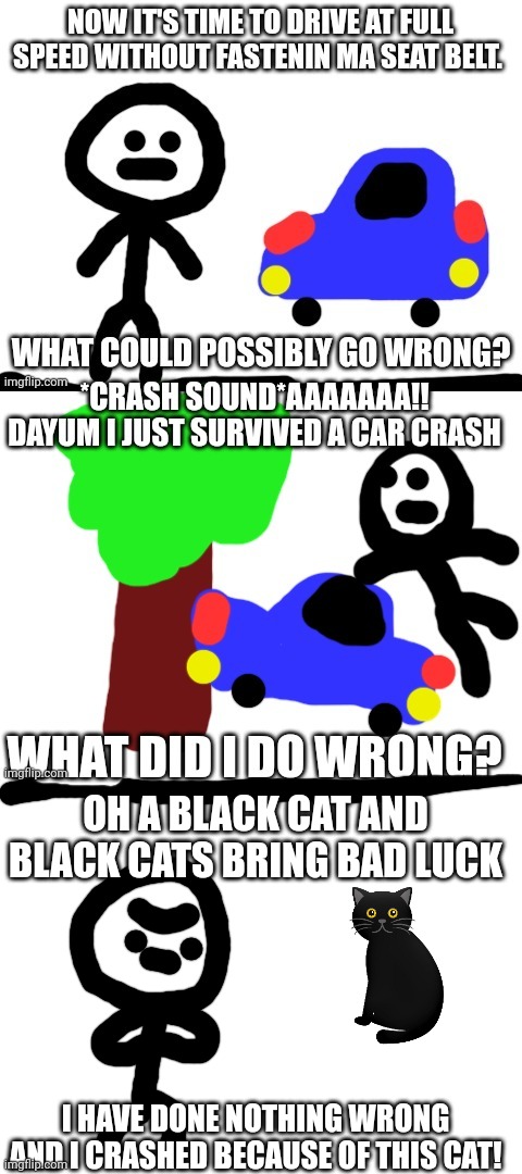 OH A BLACK CAT AND BLACK CATS BRING BAD LUCK; I HAVE DONE NOTHING WRONG AND I CRASHED BECAUSE OF THIS CAT! | image tagged in blank white template | made w/ Imgflip meme maker