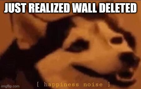 Happiness Noise | JUST REALIZED WALL DELETED | image tagged in happiness noise | made w/ Imgflip meme maker