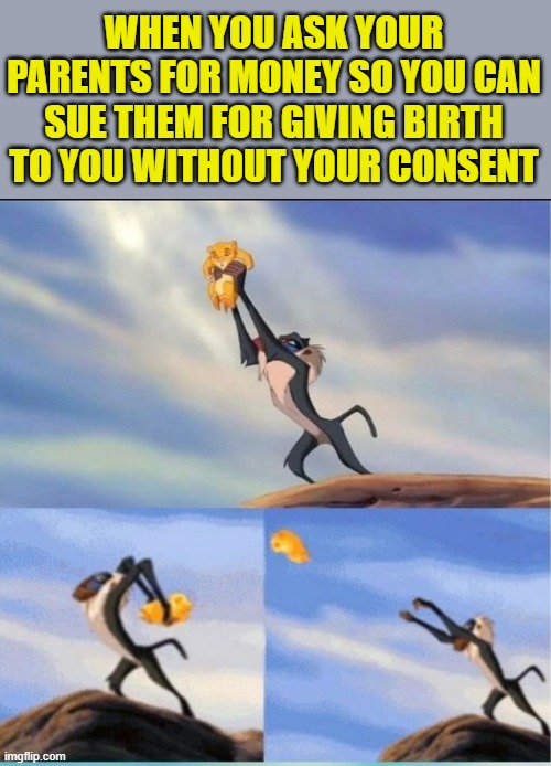 lion being yeeted | WHEN YOU ASK YOUR PARENTS FOR MONEY SO YOU CAN SUE THEM FOR GIVING BIRTH TO YOU WITHOUT YOUR CONSENT | image tagged in lion being yeeted | made w/ Imgflip meme maker