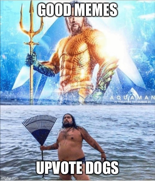 Heh | GOOD MEMES; UPVOTE DOGS | image tagged in high quality vs low quality aquaman,stonks | made w/ Imgflip meme maker