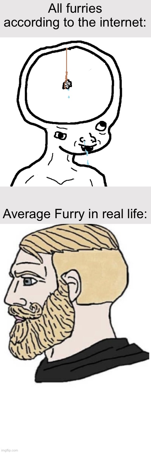its hard to find one that actually does weird shit trust me | All furries according to the internet:; Average Furry in real life: | image tagged in dumb wojak,soyboy vs yes chad | made w/ Imgflip meme maker