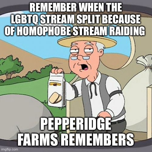 Pepperidge Farm Remembers |  REMEMBER WHEN THE LGBTQ STREAM SPLIT BECAUSE OF HOMOPHOBE STREAM RAIDING; PEPPERIDGE FARMS REMEMBERS | image tagged in memes,pepperidge farm remembers | made w/ Imgflip meme maker