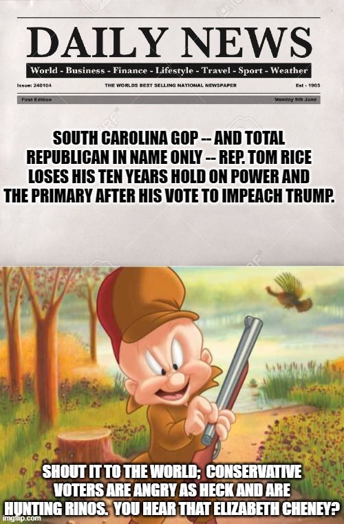 For stray leftist lunatics . . . that's METAPHORICALLY hunting. | SOUTH CAROLINA GOP -- AND TOTAL REPUBLICAN IN NAME ONLY -- REP. TOM RICE LOSES HIS TEN YEARS HOLD ON POWER AND THE PRIMARY AFTER HIS VOTE TO IMPEACH TRUMP. SHOUT IT TO THE WORLD;  CONSERVATIVE VOTERS ARE ANGRY AS HECK AND ARE HUNTING RINOS.  YOU HEAR THAT ELIZABETH CHENEY? | image tagged in newspaper | made w/ Imgflip meme maker