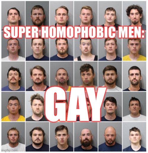 31 White Extremists Arrested at Pride Event in Idaho! | SUPER HOMOPHOBIC MEN:; GAY | image tagged in homophobic,gay,pride month,terrorist,extremist,bullies | made w/ Imgflip meme maker