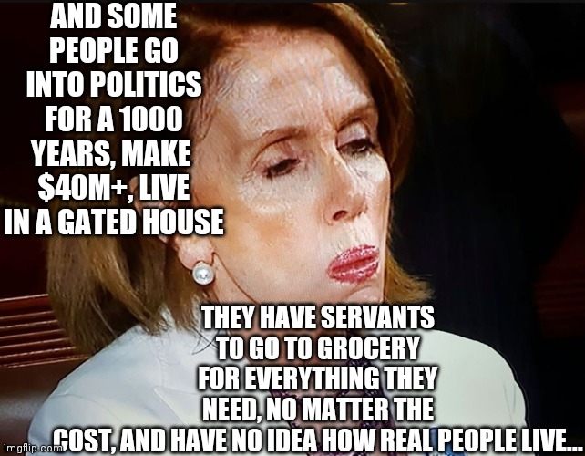 Nancy Pelosi PB Sandwich | AND SOME PEOPLE GO INTO POLITICS FOR A 1000 YEARS, MAKE  $40M+, LIVE IN A GATED HOUSE THEY HAVE SERVANTS TO GO TO GROCERY FOR EVERYTHING THE | image tagged in nancy pelosi pb sandwich | made w/ Imgflip meme maker