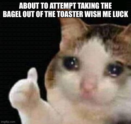 Help | ABOUT TO ATTEMPT TAKING THE BAGEL OUT OF THE TOASTER WISH ME LUCK | image tagged in sad thumbs up cat | made w/ Imgflip meme maker
