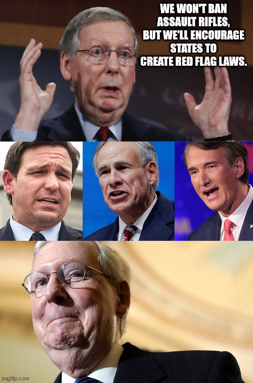 Slimeball mitch & his legislative legerdemain. | WE WON'T BAN ASSAULT RIFLES, BUT WE'LL ENCOURAGE STATES TO CREATE RED FLAG LAWS. | image tagged in scumbag mcconnell,ban assault rifles | made w/ Imgflip meme maker