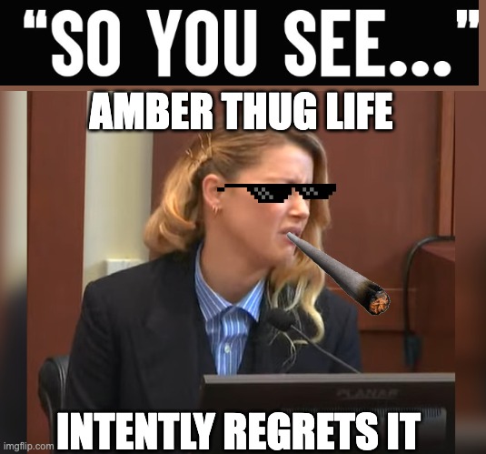 so you see... | AMBER THUG LIFE; INTENTLY REGRETS IT | image tagged in amber heard dog stepped on a bee | made w/ Imgflip meme maker