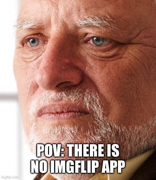 Make one please | POV: THERE IS NO IMGFLIP APP | image tagged in dissapointment | made w/ Imgflip meme maker