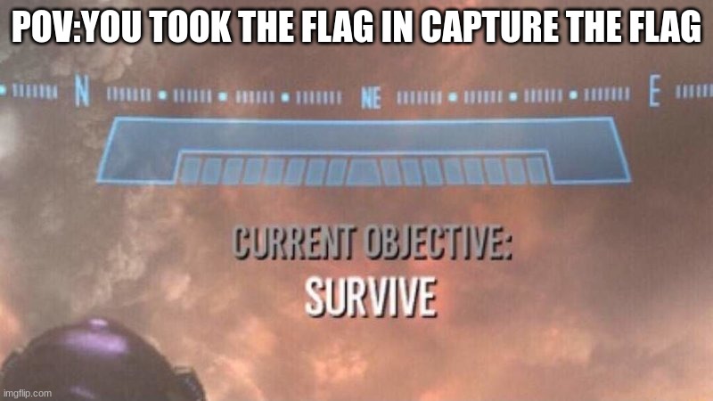 flag wars | POV:YOU TOOK THE FLAG IN CAPTURE THE FLAG | image tagged in current objective survive | made w/ Imgflip meme maker