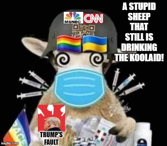 Are you a stupid liberal sheep still drinking the Koolaid? or will you never watch mainstream media or believe a Democrat again? | A STUPID SHEEP THAT STILL IS DRINKING THE KOOLAID! TRUMP'S FAULT | image tagged in special kind of stupid,stupid sheep | made w/ Imgflip meme maker