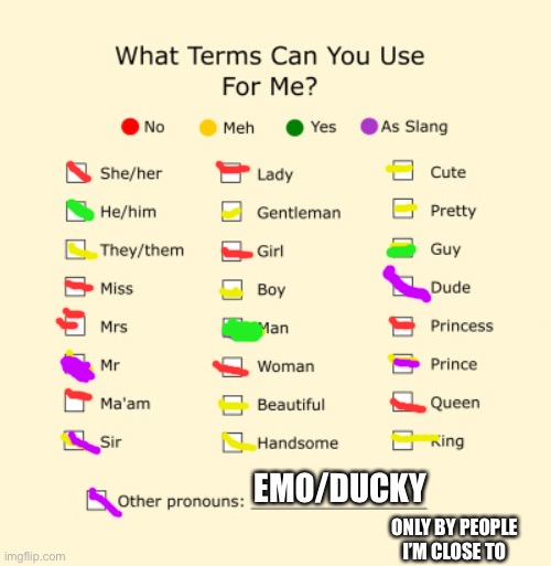 Pronouns Sheet | EMO/DUCKY; ONLY BY PEOPLE I’M CLOSE TO | image tagged in pronouns sheet | made w/ Imgflip meme maker