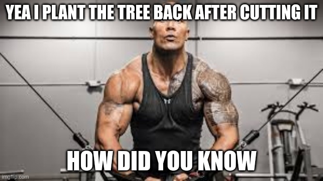 i plant it back | YEA I PLANT THE TREE BACK AFTER CUTTING IT; HOW DID YOU KNOW | image tagged in dwayne johnson,the rock,minecraft | made w/ Imgflip meme maker