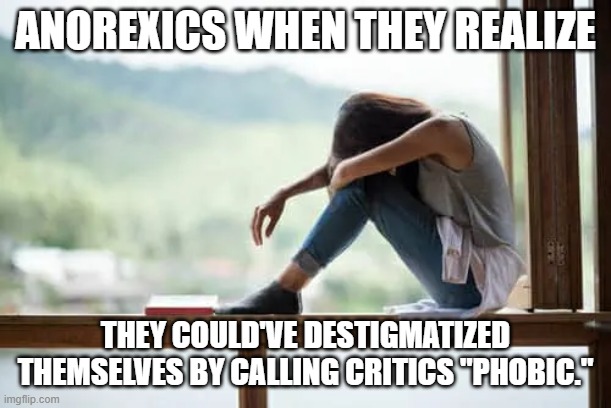 ANOREXICS WHEN THEY REALIZE; THEY COULD'VE DESTIGMATIZED THEMSELVES BY CALLING CRITICS "PHOBIC." | made w/ Imgflip meme maker
