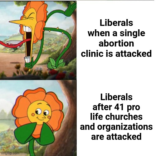 The silence is deafening | Liberals when a single abortion clinic is attacked; Liberals after 41 pro life churches and organizations are attacked | image tagged in cuphead flower,liberals,abortion,pro life | made w/ Imgflip meme maker