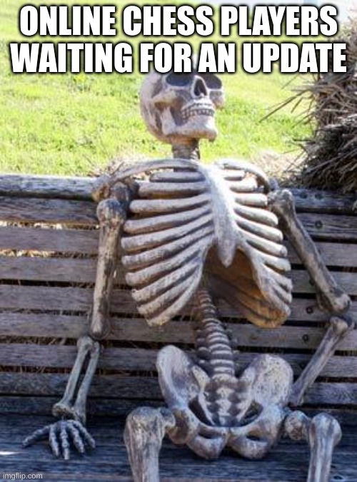 Waiting Skeleton Meme | ONLINE CHESS PLAYERS WAITING FOR AN UPDATE | image tagged in memes,waiting skeleton | made w/ Imgflip meme maker