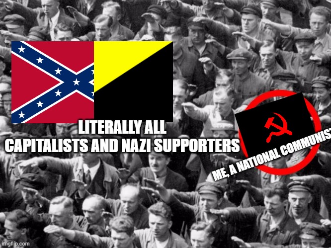 True moment | LITERALLY ALL CAPITALISTS AND NAZI SUPPORTERS; ME, A NATIONAL COMMUNIST | made w/ Imgflip meme maker