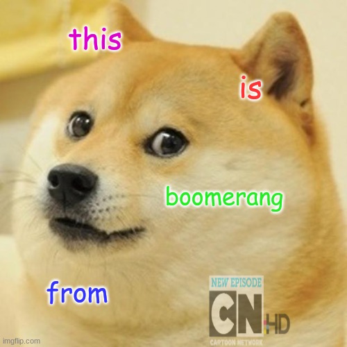 Doge | this; is; boomerang; from | image tagged in memes,doge | made w/ Imgflip meme maker