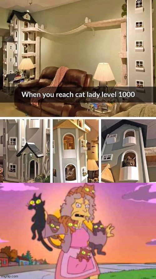 image tagged in simpson's crazy cat lady,cats | made w/ Imgflip meme maker