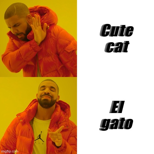 Cute cat El gato | image tagged in memes,drake hotline bling | made w/ Imgflip meme maker