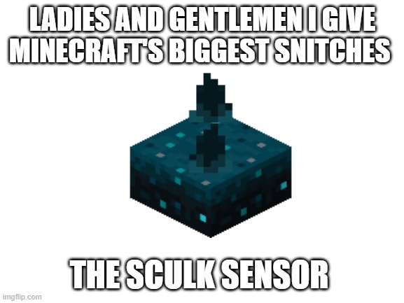 The Snitch! | LADIES AND GENTLEMEN I GIVE MINECRAFT'S BIGGEST SNITCHES; THE SCULK SENSOR | image tagged in blank white template,minecraft | made w/ Imgflip meme maker