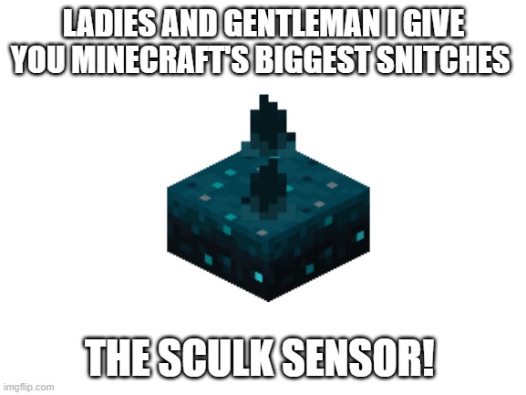 The Snitch | LADIES AND GENTLEMAN I GIVE YOU MINECRAFT'S BIGGEST SNITCHES; THE SCULK SENSOR! | image tagged in blank white template | made w/ Imgflip meme maker