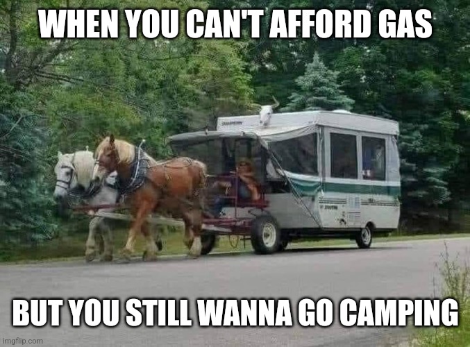 Make camping great again |  WHEN YOU CAN'T AFFORD GAS; BUT YOU STILL WANNA GO CAMPING | image tagged in gas,camping,horse,funny | made w/ Imgflip meme maker