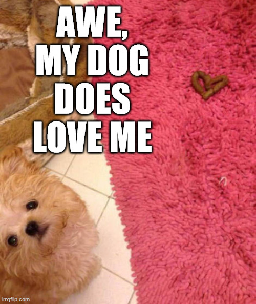 AWE, MY DOG DOES LOVE ME | image tagged in dogs | made w/ Imgflip meme maker