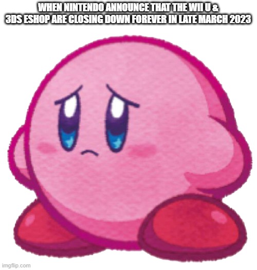 Sad kirb | WHEN NINTENDO ANNOUNCE THAT THE WII U & 3DS ESHOP ARE CLOSING DOWN FOREVER IN LATE MARCH 2023 | image tagged in sad kirb | made w/ Imgflip meme maker