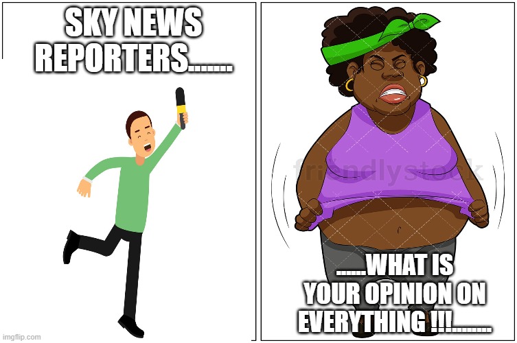 Angry fat black lady... | SKY NEWS REPORTERS....... ......WHAT IS YOUR OPINION ON EVERYTHING !!!........ | image tagged in double blank | made w/ Imgflip meme maker
