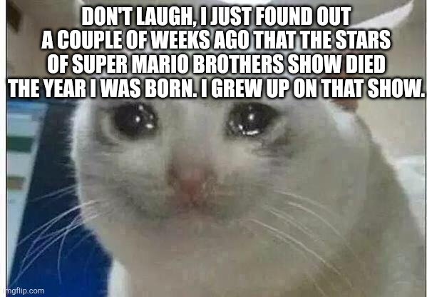 Upvote if you grew up on that show as well. | DON'T LAUGH, I JUST FOUND OUT A COUPLE OF WEEKS AGO THAT THE STARS OF SUPER MARIO BROTHERS SHOW DIED THE YEAR I WAS BORN. I GREW UP ON THAT SHOW. | image tagged in crying cat | made w/ Imgflip meme maker