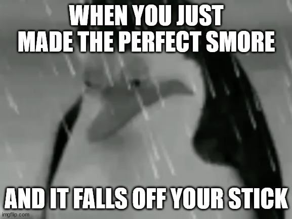 Sadge | WHEN YOU JUST MADE THE PERFECT SMORE; AND IT FALLS OFF YOUR STICK | image tagged in sadge | made w/ Imgflip meme maker