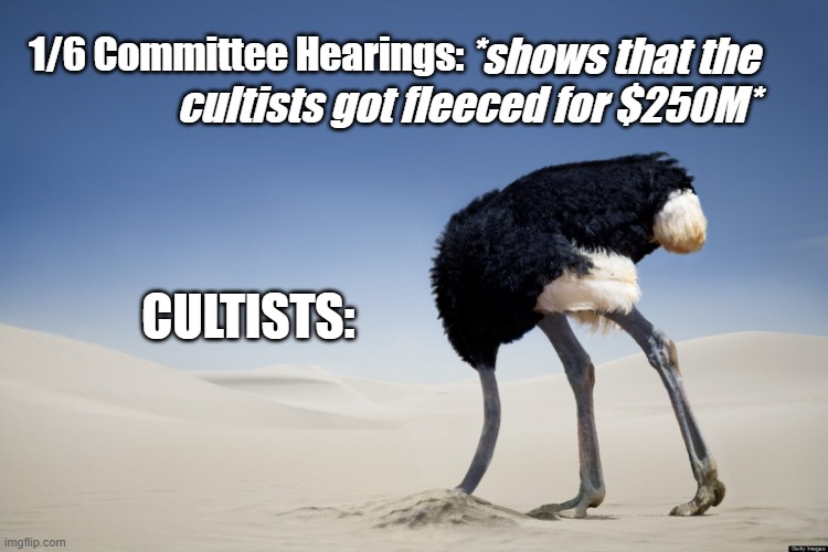 The problem with cultists | *shows that the
cultists got fleeced for $250M*; 1/6 Committee Hearings:; CULTISTS: | image tagged in ostrich head in sand | made w/ Imgflip meme maker