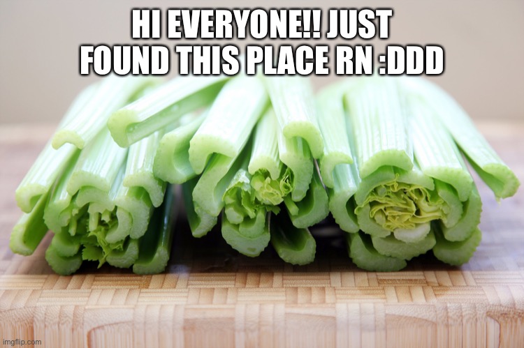 celery | HI EVERYONE!! JUST FOUND THIS PLACE RN :DDD | image tagged in celery | made w/ Imgflip meme maker