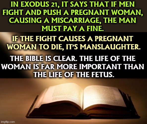 Biblical teaching | IN EXODUS 21, IT SAYS THAT IF MEN 
FIGHT AND PUSH A PREGNANT WOMAN, 
CAUSING A MISCARRIAGE, THE MAN 
MUST PAY A FINE. IF THE FIGHT CAUSES A PREGNANT 
WOMAN TO DIE, IT'S MANSLAUGHTER. THE BIBLE IS CLEAR. THE LIFE OF THE 
WOMAN IS FAR MORE IMPORTANT THAN 
THE LIFE OF THE FETUS. | image tagged in bible,abortion,pregnancy,fetus | made w/ Imgflip meme maker