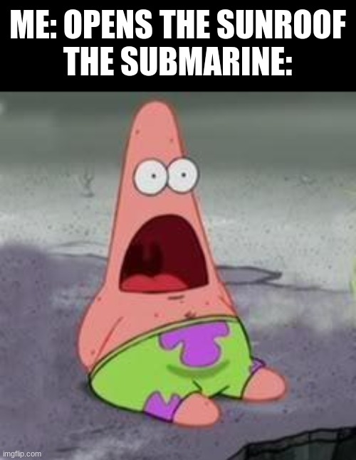 F R E S H   A  I R |  ME: OPENS THE SUNROOF
THE SUBMARINE: | image tagged in suprised patrick | made w/ Imgflip meme maker