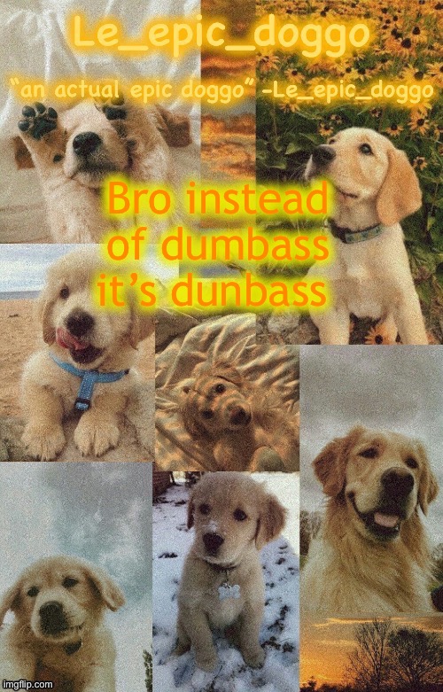 Doggo temp by doggo. Wait what that’s confusing | Bro instead of dumbass it’s dunbass | image tagged in doggo temp by doggo wait what that s confusing | made w/ Imgflip meme maker