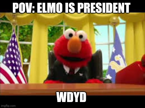 President Elmo | POV: ELMO IS PRESIDENT; WDYD | image tagged in president elmo | made w/ Imgflip meme maker
