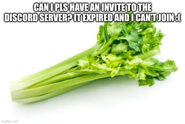 AllCrunchNoFlavor | CAN I PLS HAVE AN INVITE TO THE DISCORD SERVER? IT EXPIRED AND I CAN’T JOIN :( | image tagged in allcrunchnoflavor | made w/ Imgflip meme maker