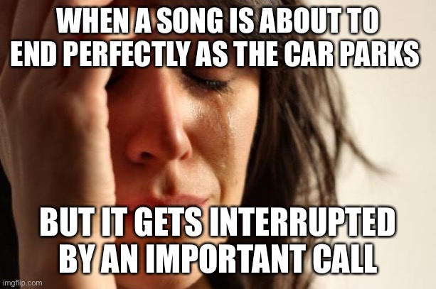 Car problems | WHEN A SONG IS ABOUT TO END PERFECTLY AS THE CAR PARKS; BUT IT GETS INTERRUPTED BY AN IMPORTANT CALL | image tagged in memes,first world problems | made w/ Imgflip meme maker