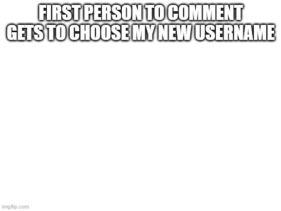 Blank White Template | FIRST PERSON TO COMMENT GETS TO CHOOSE MY NEW USERNAME | image tagged in blank white template | made w/ Imgflip meme maker