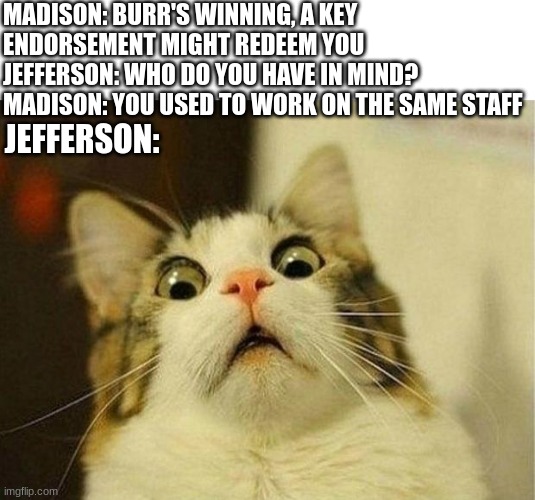 A Hamilton meme to make up for the last one: |  MADISON: BURR'S WINNING, A KEY ENDORSEMENT MIGHT REDEEM YOU
JEFFERSON: WHO DO YOU HAVE IN MIND?
MADISON: YOU USED TO WORK ON THE SAME STAFF; JEFFERSON: | image tagged in memes,scared cat,hamilton,thomas jefferson,theater,broadway | made w/ Imgflip meme maker