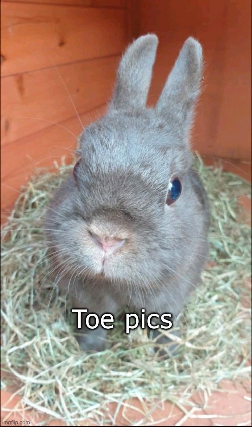 Toe pics | made w/ Imgflip meme maker