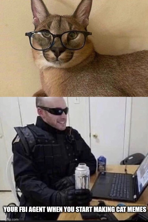 The federal bureau of imgflip approves of big floppa memes | YOUR FBI AGENT WHEN YOU START MAKING CAT MEMES | image tagged in floppa professor,fbi agent chilling,floppa,why is the fbi here | made w/ Imgflip meme maker