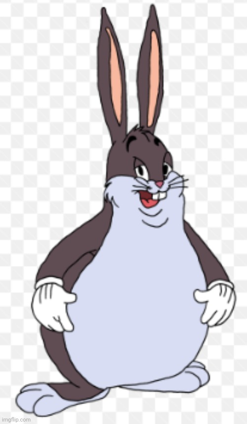 bigchungus | image tagged in bigchungus | made w/ Imgflip meme maker