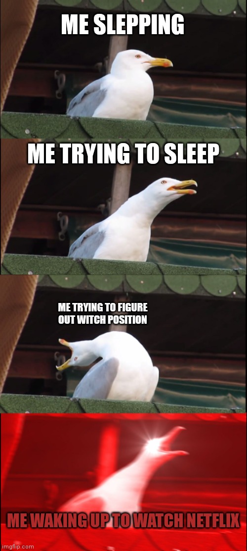 Inhaling Seagull Meme | ME SLEPPING; ME TRYING TO SLEEP; ME TRYING TO FIGURE OUT WITCH POSITION; ME WAKING UP TO WATCH NETFLIX | image tagged in memes,inhaling seagull | made w/ Imgflip meme maker